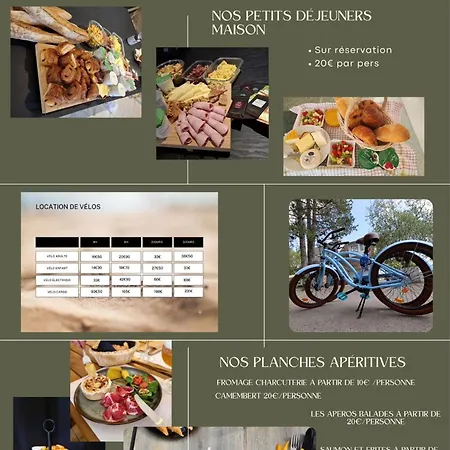 Les * Camiers